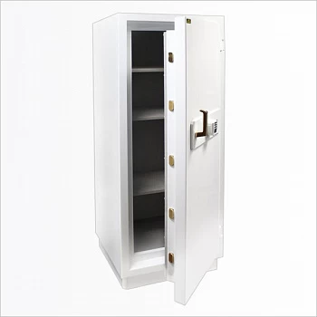 Сейф Burg-Wachter E-516E lak Bio White